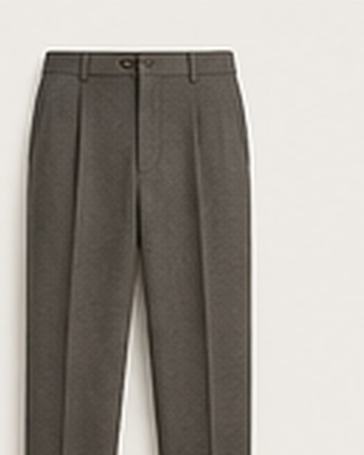 Pantalon Tailleur Plissé 4